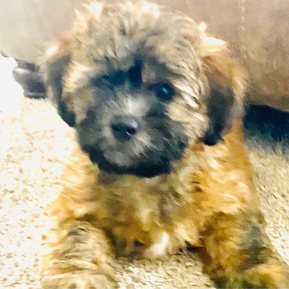 💙🩵❤️Please like this Listing 4 update; show info+ special sales+ deals! Join4fun - Picture 13 of 14